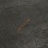 Панель SaunaBoard Stone Galaxy Black 2390*1190*16мм, шт