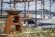 Уличный гриль Coeo TRIO 82 CORTEN