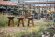 Уличный гриль Coeo TRIO 82 CORTEN